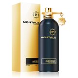 Montale Oudyssee Parfumuotas vanduo 100ml
