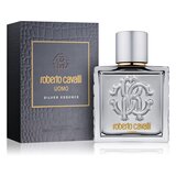 Roberto Cavalli Uomo Silver Essence Tualetinis vanduo