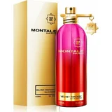 Montale Velvet Fantasy Parfumuotas vanduo 100ml