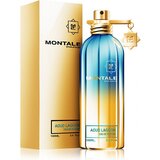 Montale Aoud Lagoon Parfumuotas vanduo, 100ml