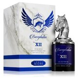 Armaf Bucephalus No. XII Parfumuotas vanduo 100ml