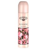 Cuba Original Cuba Blossom Parfumuotas vanduo 100ml