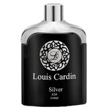 Louis Cardin Silver Homme Parfumuotas vanduo 100ml