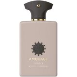 Amouage Opus V Woods Symphony Parfumuotas vanduo