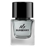 Burberry Mr. Burberry for Men Eau de toilette Tualetinis vanduo 50ml