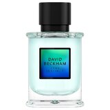David Beckham True Instinct Parfumuotas vanduo 50ml