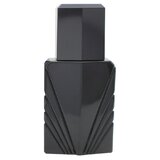 Elizabeth Taylor Passion For Men Odekolonas