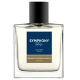 Melody Symphony Intense Men Tualetinis vanduo 100ml