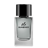 Burberry Mr. Burberry for Men Eau de toilette Tualetinis vanduo 100ml