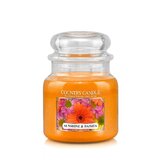 Country Candle Sunshine & Daisies kvapioji žvakė vidutinė 2 dagčiai (453 g)