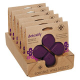 ŠAKNŲ ŽVAKĖS Seeking Balance vaškas DETOXIFY / DETOX