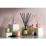 Vila Hermanos Apothecary Northern Cities HELSINKI difuzorius 100ml