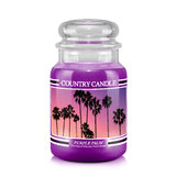Country Candle Purple Palm didelė 2 dagčių kvapioji žvakė (652 g)