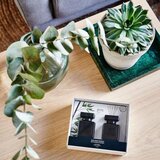 ipuro Essentials Black Bamboo 2x50ml difuzorius dovanų dėžutėje