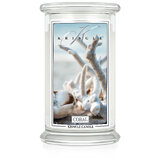 Kringle Candle Coral didelė 2 dagčių kvapioji žvakė (624 g)