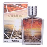 Soulcal & Co For Him Brown Tualetinis vanduo 75ml