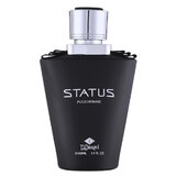 TaDangel Status Pour Homme Parfumuotas vanduo 100ml