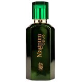 Nylaa Magnum Opus Parfumuotas vanduo 100ml