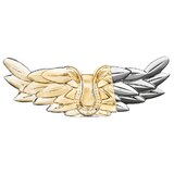 Zadig&Voltaire Zadig Parfumuotas vanduo 30ml