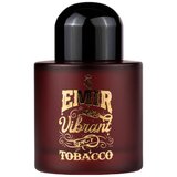 Emir Vibrant Spicy Tobacco Parfumuotas vanduo 100ml