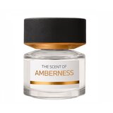 BMW The Scent of Amberness Parfumuotas vanduo 50ml
