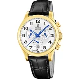 FESTINA 20099/1S - Vyriškas laikrodis