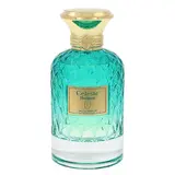 Flavia Celestc Horizon Parfumuotas vanduo 100ml