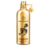 Montale Arabians Parfumuotas vanduo - testeris 100ml