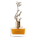 Aurora Scents Deciduous Summer Parfumuotas vanduo 100ml