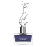 Aurora Scents Deciduous Winter Parfumuotas vanduo 100ml