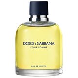 Dolce & Gabbana Pour Homme Tualetinis vanduo 125ml