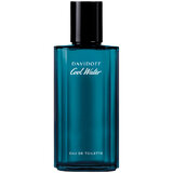 Davidoff Cool Water Men Tualetinis vanduo 75ml