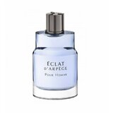 Lanvin Eclat d'Arpege Pour Homme Tualetinis vanduo - testeris 100ml