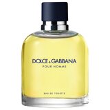 Dolce & Gabbana Pour Homme Tualetinis vanduo 75ml