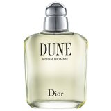 Dior Dune pour Homme Tualetinis vanduo 100ml