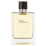 Hermes Terre D'Hermes Tualetinis vanduo 100ml
