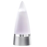 Rochas Man Tualetinis vanduo 100ml