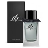 Burberry Mr. Burberry Tualetinis vanduo, 100ml