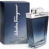 Salvatore Ferragamo Subtil Pour Homme Tualetinis vanduo 100ml