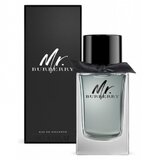 Burberry Mr. Burberry Tualetinis vanduo, 150ml