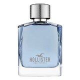 Hollister Wave For Him Tualetinis vanduo 100ml