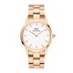 Daniel Wellington DW00100209 - Moteriškas laikrodis