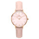 Daniel Wellington DW00100511