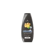 Šampūnas nuo pleiskanų (Intensive Shampoo) 400 ml