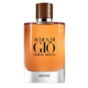 Giorgio Armani Acqua di Gio Absolu Parfumuotas vanduo – testeris