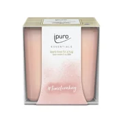 ipuro Essentials Time for a Hug kvapioji žvakė 125g