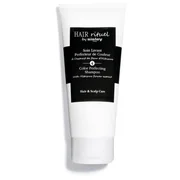 Šampūnas dažytiems ir paryškintiems plaukams (Color Perfecting Shampoo) 200 ml