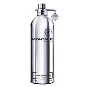 Montale Fruits of the Musk Parfumuotas vanduo