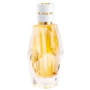 Mont Blanc Signature Absolue Eau de Parfum Parfumuotas vanduo