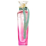 Adolfo Dominguez Agua Fresca de Gardenia Musk Tualetinis vanduo